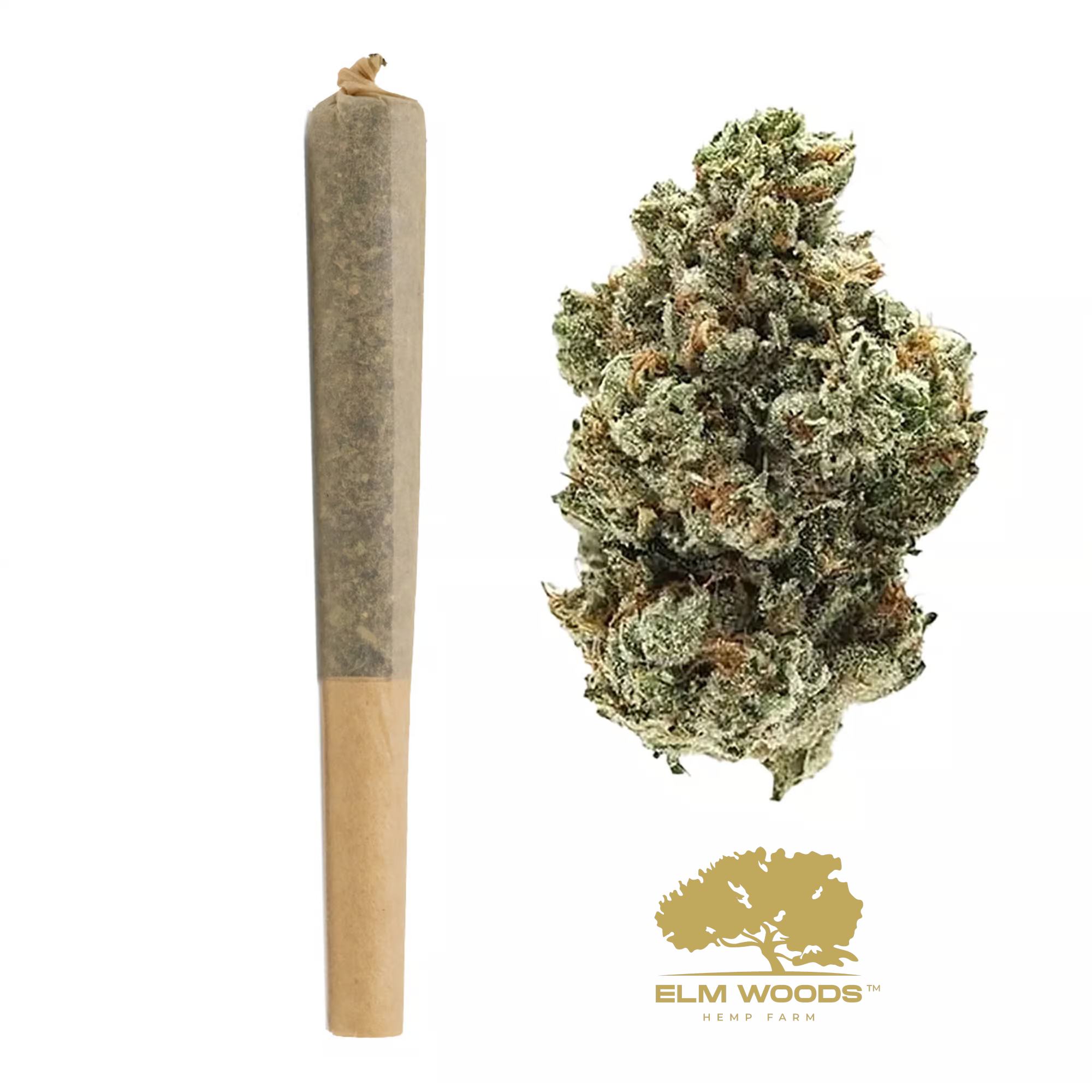 Jet Fuel 1G Pre-Rolls Case 100